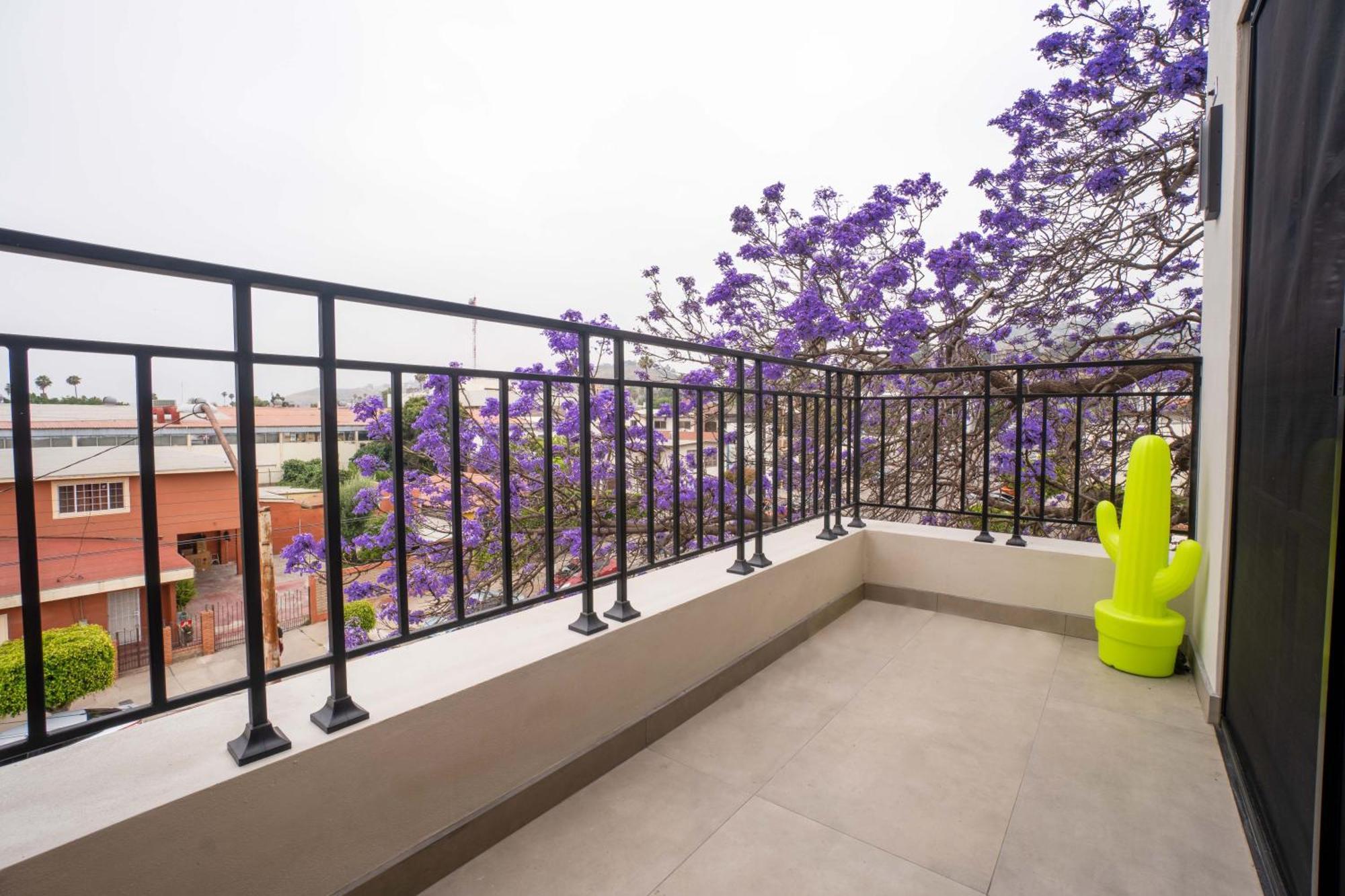 Suites Miramar14 เอนเซนาดา ภายนอก รูปภาพ
